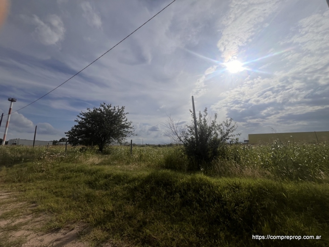 AV JAP�N TERRENO INDUSTRIAL 1 HECTAREA