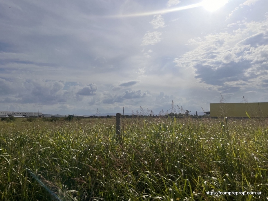 AV JAP�N TERRENO INDUSTRIAL 1 HECTAREA