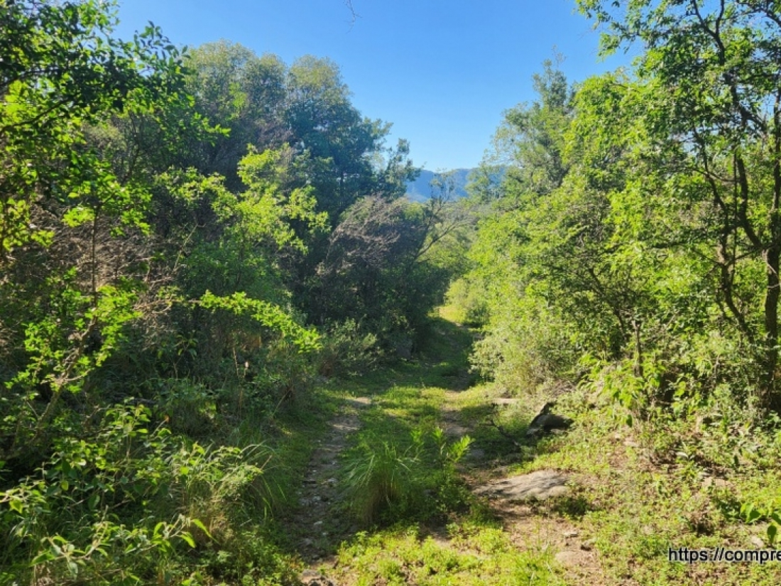 CAMPO EN VENTA EN ICHO CRUZ CUESTA BLANCA 