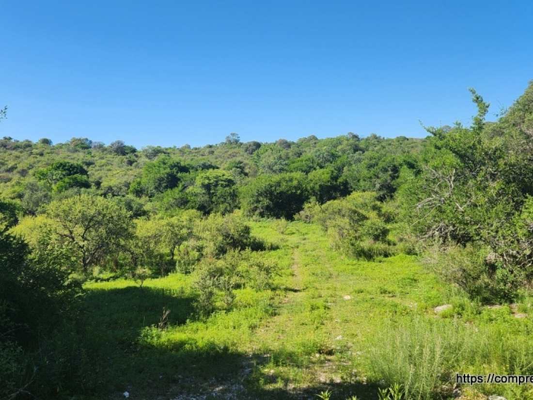 CAMPO EN VENTA EN ICHO CRUZ CUESTA BLANCA 