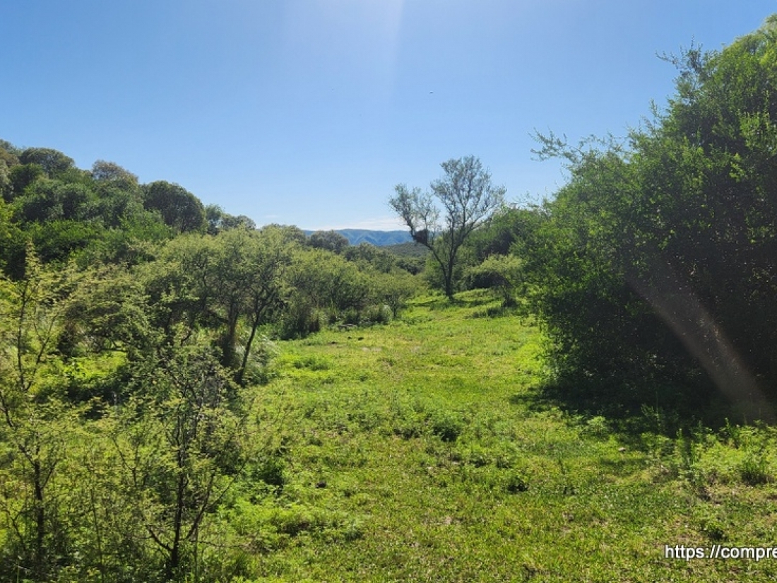 CAMPO EN VENTA EN ICHO CRUZ CUESTA BLANCA 