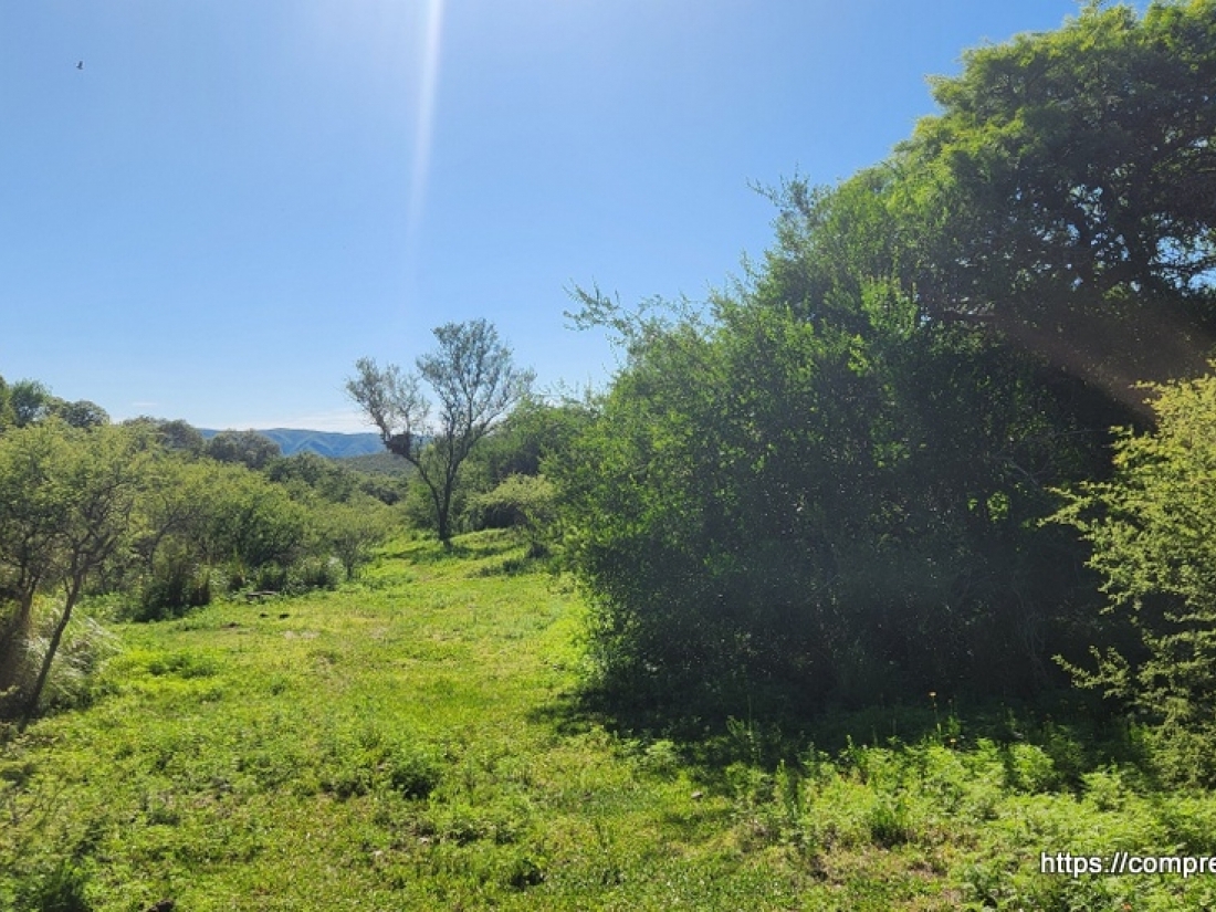 CAMPO EN VENTA EN ICHO CRUZ CUESTA BLANCA 