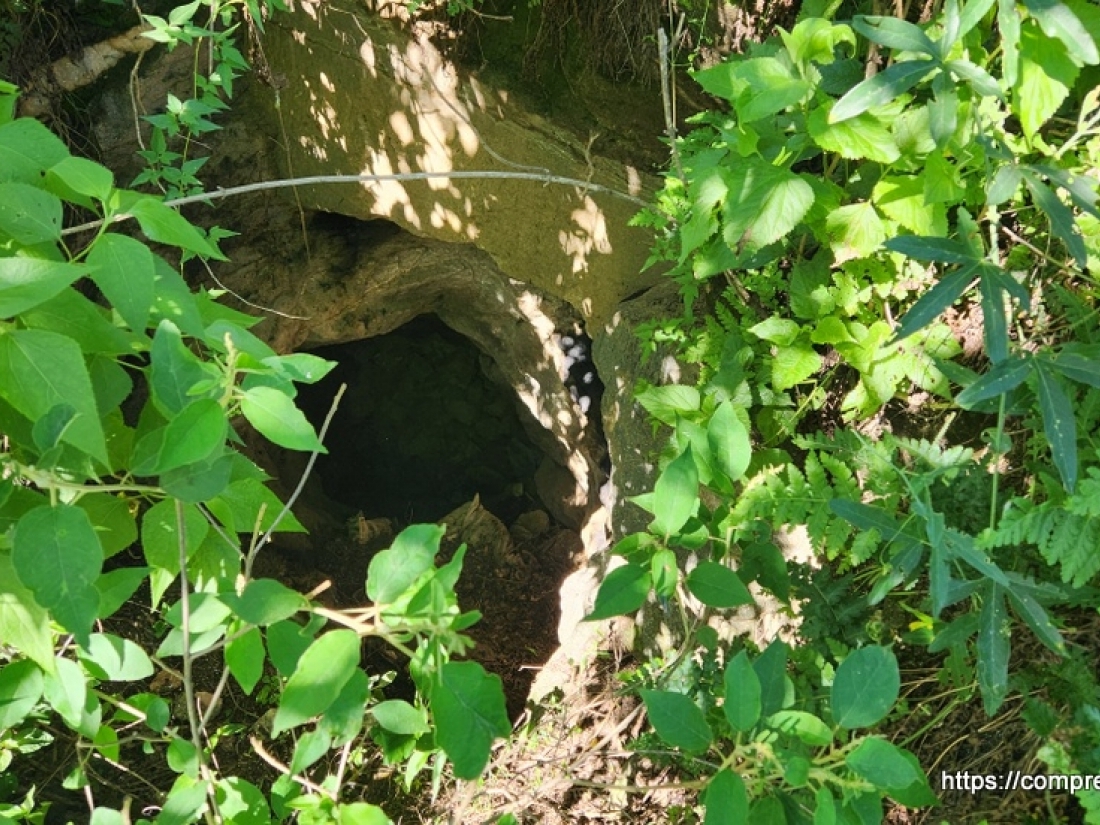 CAMPO EN VENTA EN ICHO CRUZ CUESTA BLANCA 