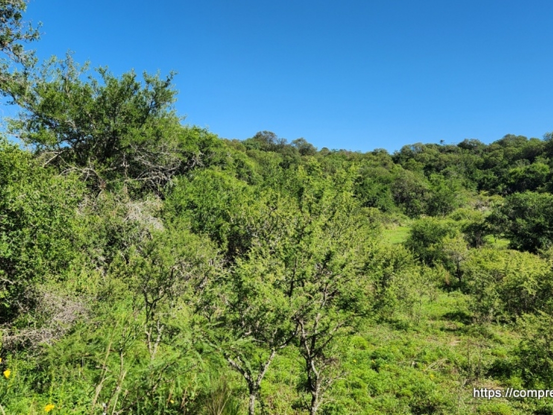 CAMPO EN VENTA EN ICHO CRUZ CUESTA BLANCA 