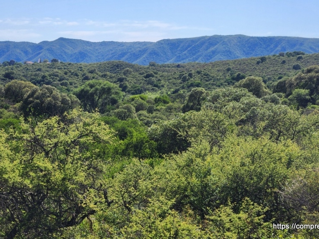 CAMPO EN VENTA EN ICHO CRUZ CUESTA BLANCA 