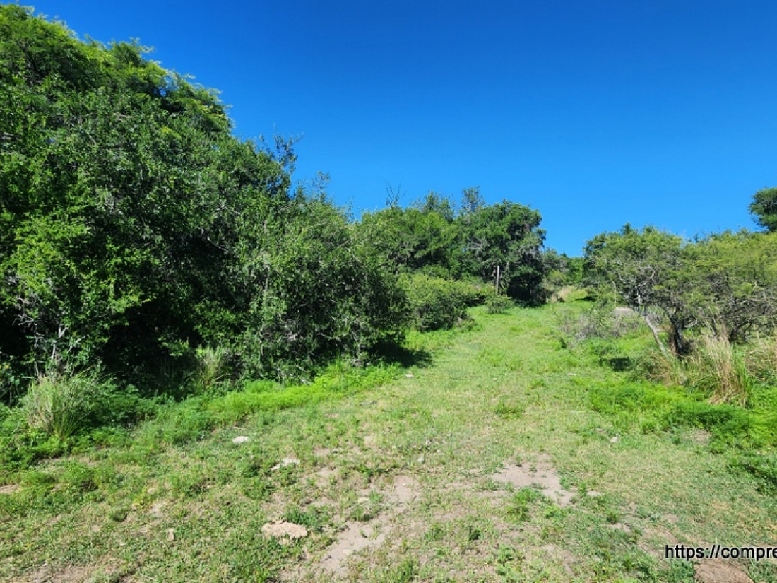 CAMPO EN VENTA EN ICHO CRUZ CUESTA BLANCA 