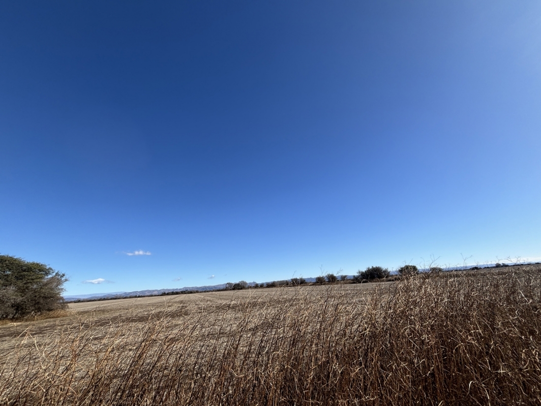 JUAREZ CELMAN CAMPO EN VENTA APTO LOTEO URBANO