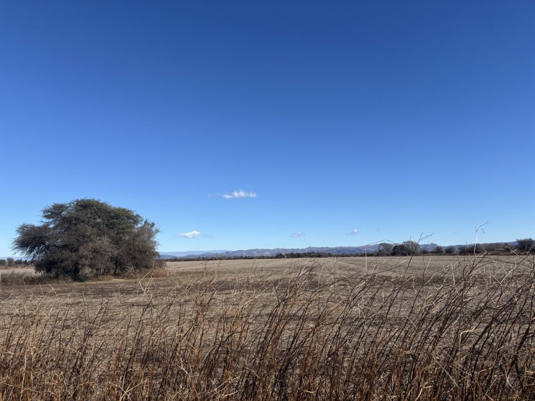 JUAREZ CELMAN CAMPO EN VENTA APTO LOTEO URBANO