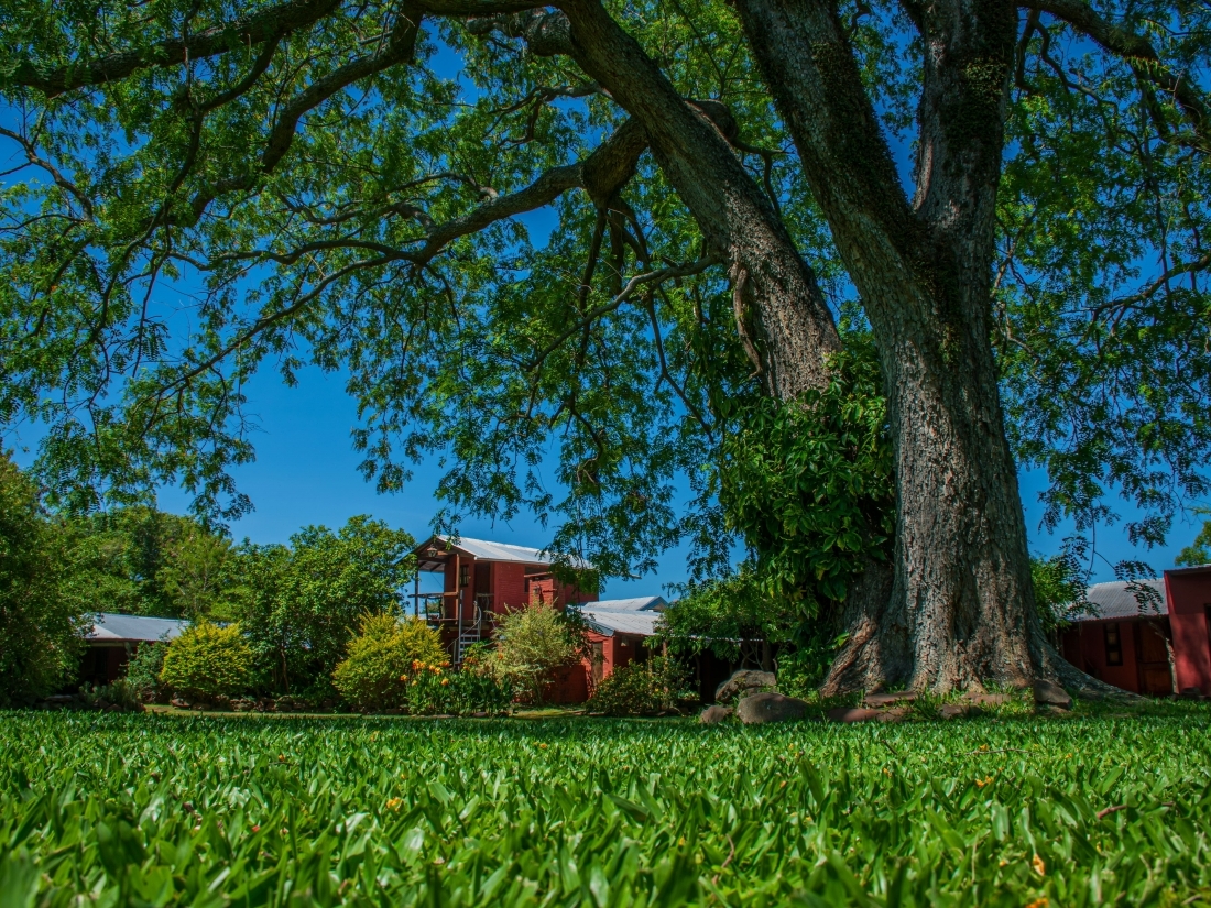 POSADA HOTEL 60 HECTAREAS EN VENTA ESTEROS DEL IBER� CORRIENTES 