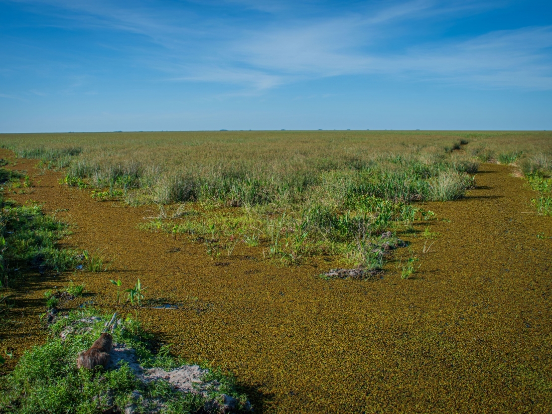 POSADA HOTEL 60 HECTAREAS EN VENTA ESTEROS DEL IBER� CORRIENTES 
