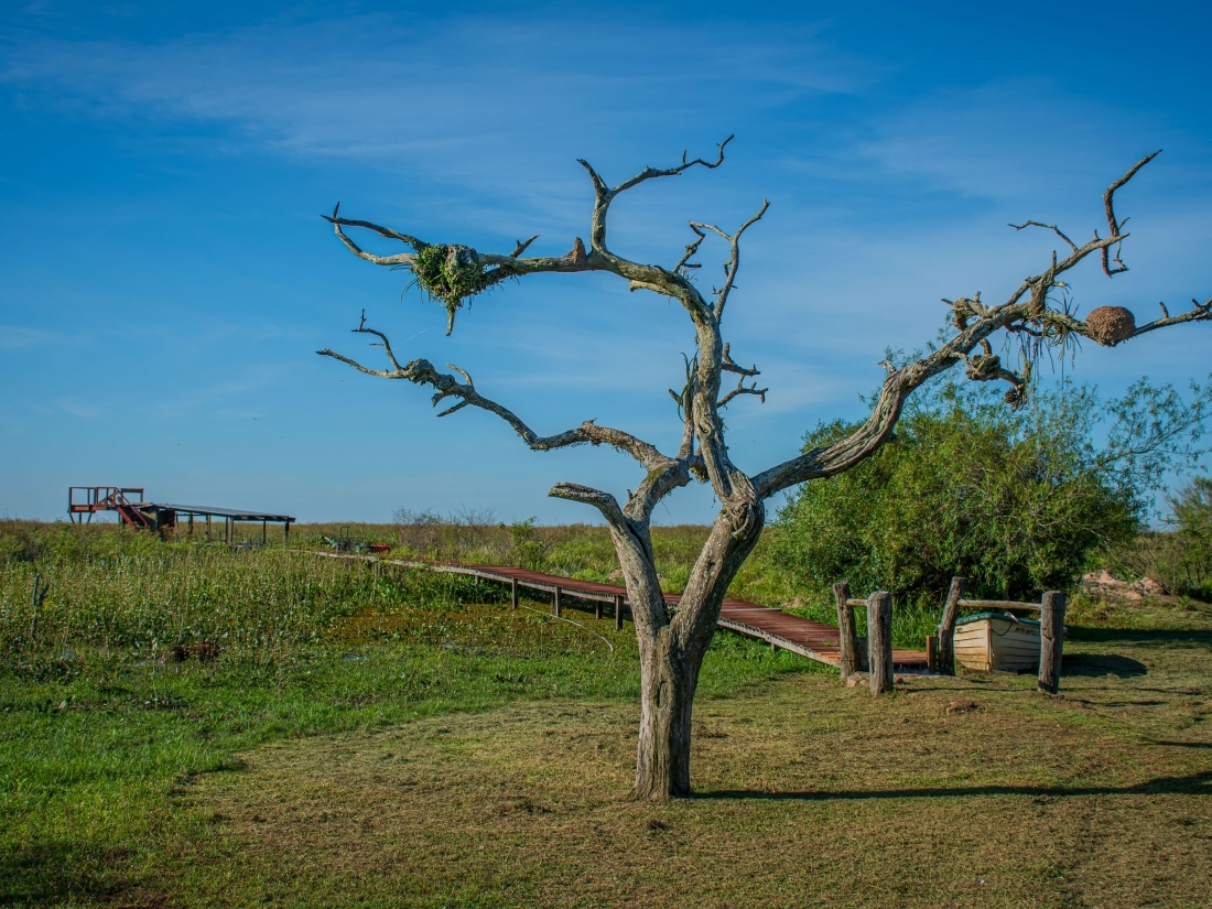 POSADA HOTEL 60 HECTAREAS EN VENTA ESTEROS DEL IBER� CORRIENTES 
