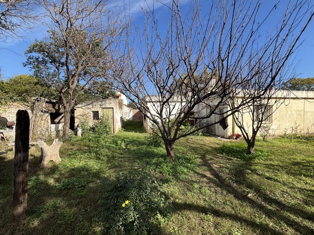 LOTE CON CASAS EN VENTA APTO HOUSING ARGUELLO ZONA LASALLE 