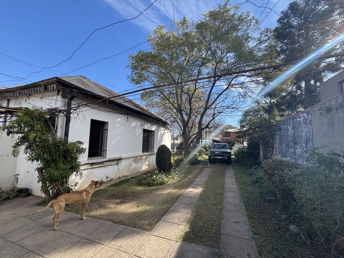 LOTE CON CASAS EN VENTA APTO HOUSING ARGUELLO ZONA LASALLE 