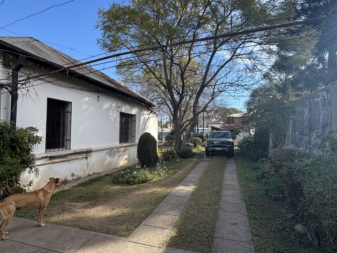 LOTE CON CASAS EN VENTA APTO HOUSING ARGUELLO ZONA LASALLE 