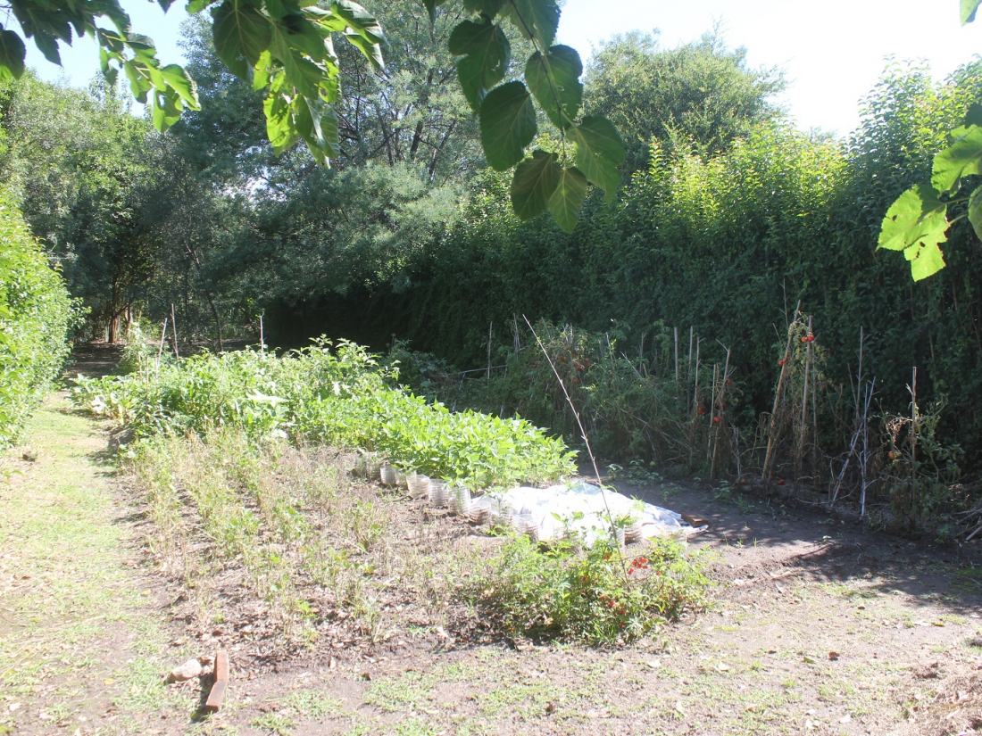 VENTA COMPLEJO TUR�STICO EN LOS MOLLES- VILLA LAS ROSAS-TRASLASIERRA 